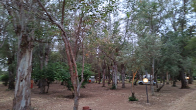 Camping Il Fico D'India
