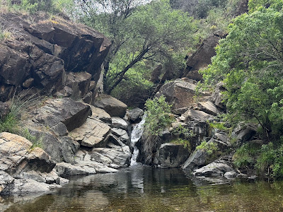 Charco las Viñas