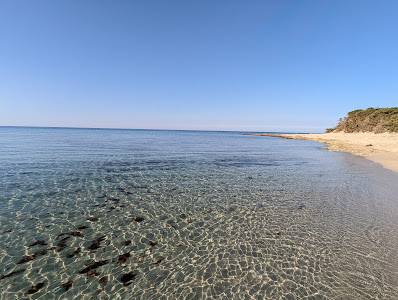 Spiaggia libera