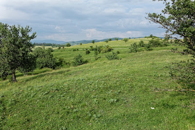 Băile Dungó (Crăciunel)