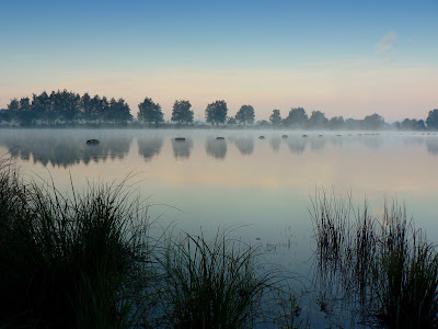 Vogelsee