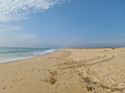 Playa Mangueta