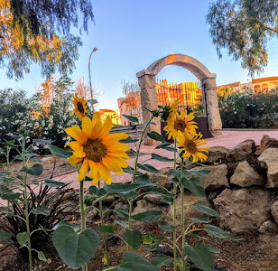 santa Matilda Park