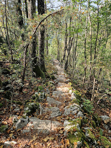 500 Horvat's steps