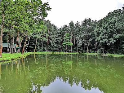 Rybník Vyšná Šebastová