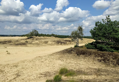 Drunensche Duinen