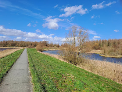 Bos op Houwingaham (Staatsbosbeheer)