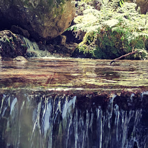 Fiume griffo area picnic