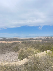 Redonda del Saladar