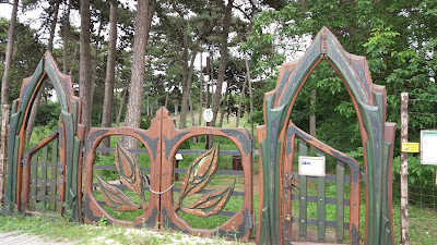 Tamariska-domb Természetvédelmi Terület
