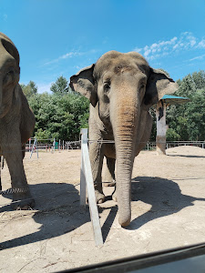 Safari Park Richter