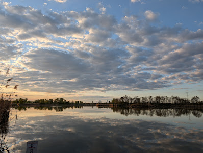 Fishery MSY Edges