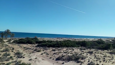Playa Elche