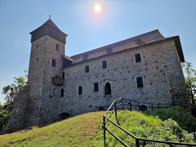 Castle Litice