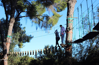 Bosque Suspendido