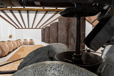 Oleotour Cazorla – Cata Aceite (aove) + Visita Guiada Almazara + Museo en la Cooperativa Aceites Cazorla (Cazorla, Jaén)
