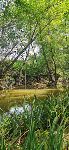 Camino de Ojén