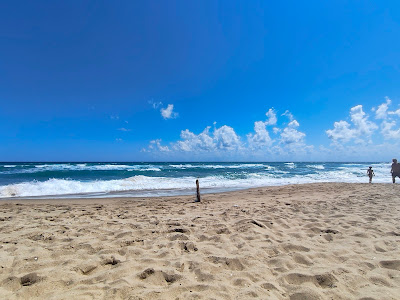 South beach