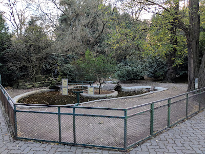 Tierpark Birkenheide