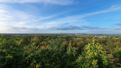 Polana Widok