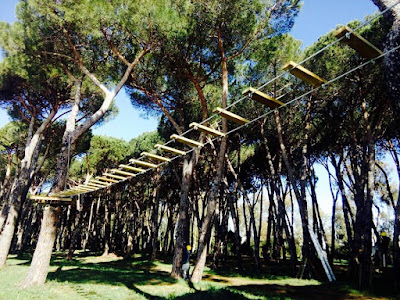 Parco Avventura Fregene