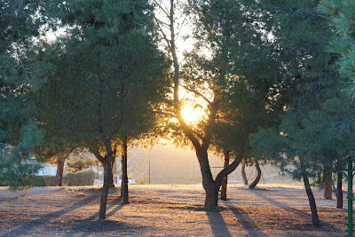 Área Recreativa "El Pinar"