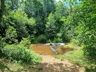 Dybowska Dolina Wisły