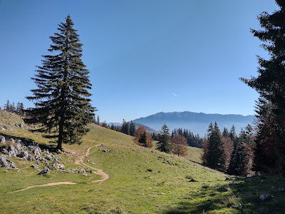 Poiana Zănoaga