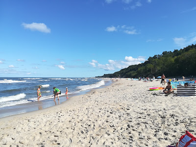 Plaża Rozewie