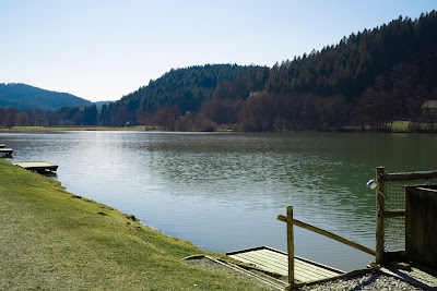 Hubertusteiche