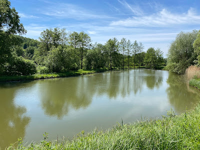 Fischteiche Fischereivereinigung Aspach e.V. - Fritz-Abele-See
