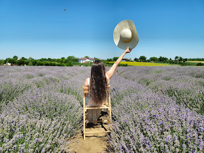 Camp Lavanda