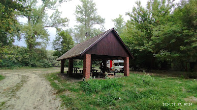 Free Forest Campsite & Fireplace
