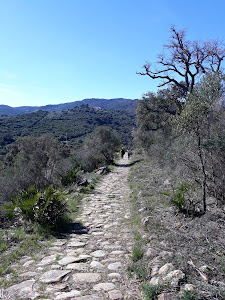 Calzada Dehesa Boyal