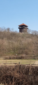 Solymár Castle