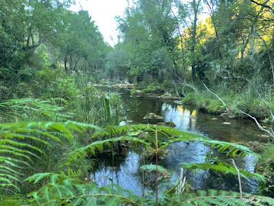 Ruta por el río Guadalquivir
