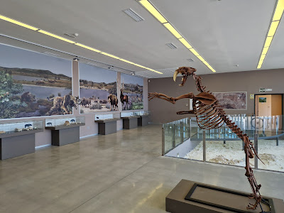 Museo de Prehistoria de Orce
