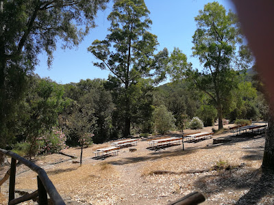 Is Fanebas