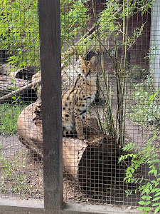 Private Zoo Sedlec