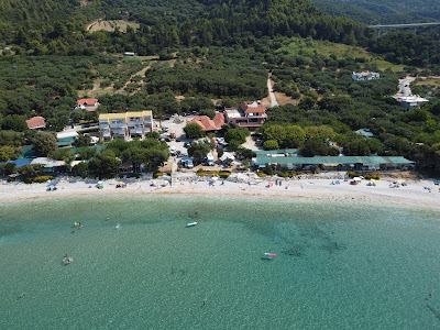 Acrogiali