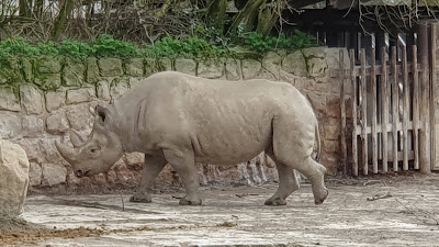 Safari Park Dvůr Králové