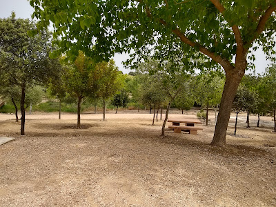 Municipal de Tocina Park