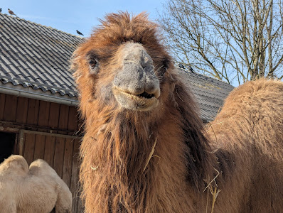 Walding Zoo
