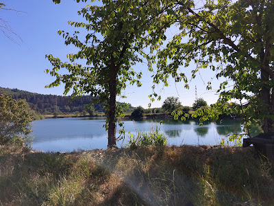 Angeln am Möschlesee