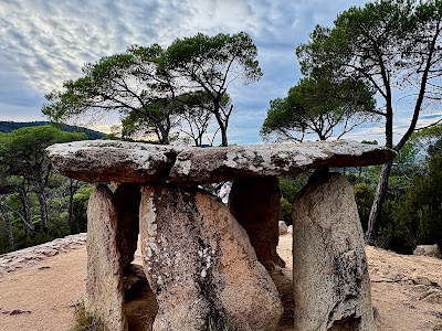 Parc del Montnegre i el Corredor