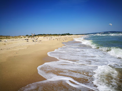 Bathing-Beach Shkorpilovci - Free Zone