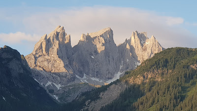 Pala group