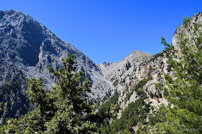 White Mountains Forest Preserve