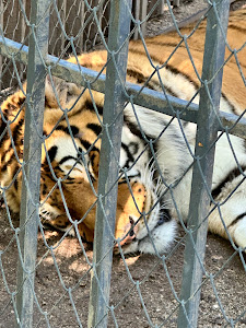 Haskovo Zoo