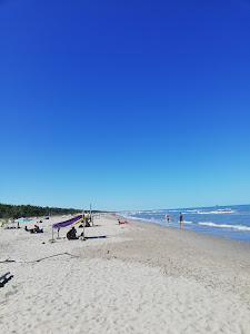 Spiaggia libera di Lido di Classe